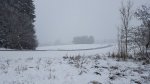 20161107_092752.jpg