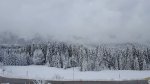 20161112_113151.jpg
