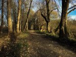 20161120-IMG_4431.jpg