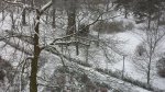 20170108_115533.jpg