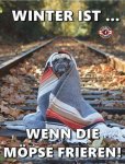 IMG-20170108-WA0004.jpg