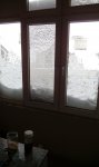 IMG_20170110_125339.jpg