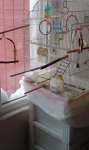 IMG_20170110_152331.jpg
