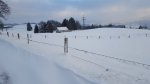 20170118_084502.jpg 20170118_084502.jpg