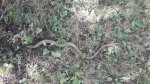 IMG-20170713-WA0006.jpg