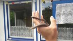 IMG-20170713-WA0003.jpg