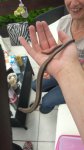 IMG-20170713-WA0004.jpg
