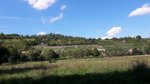 IMG-20170814-WA0009.jpg