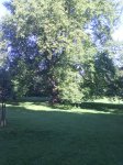 IMG_20170823_100002.jpg