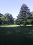 IMG_20170823_100156.jpg