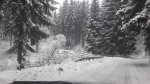 IMG-20171216-WA0006.jpg