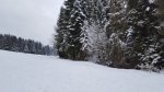 20180210_170712.jpg 20180210_170712.jpg