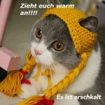 2018-02-27 21.58.48.jpg