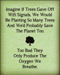 imagine-if-trees-gave-off-wifi-signals-we-would-be-20427648.png