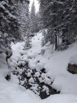 IMG_20190102_180752.jpg