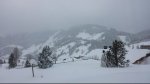 20190108_193540.jpg