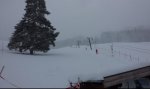 20190108_193106.jpg