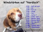 windstärken .jpg