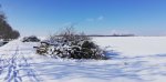 IMG_20190204_130747.jpg