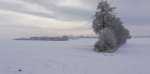 IMG_20190207_110251.jpg