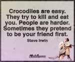 krokodile.jpg