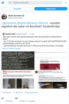 Screenshot Sonneborn Strache.png