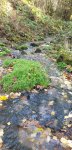 IMG-20191022-WA0007.jpg
