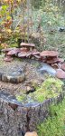 IMG-20191022-WA0010.jpg