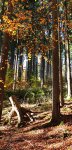 IMG-20191022-WA0012.jpg