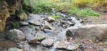 IMG-20191022-WA0017.jpg