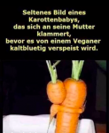 vegan karottenbaby.png