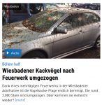 feuerwerk kackvögel Z.png