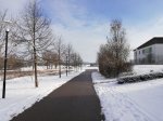IMG_20210107_114513.jpg