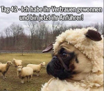 Bildschirmfoto 2021-03-11 um 20.17.31.png