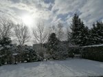 IMG_20210406_091352.jpg