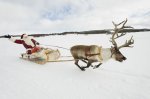 csm_Weihnachtsmann-Schlitten-Rentier_Stockbyte_Thinkstock_a3e889bfb0.jpg