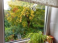 herbstanfang 9:21.jpg