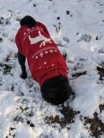 PXL_20211202_Gizmo Schnee.jpg