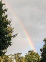 rainbow Juni 22.jpg