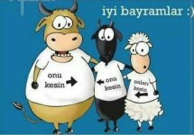 kurban türkisch .jpg