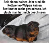 Bildschirmfoto 2023-07-02 um 11.05.23.png