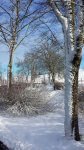 20140214_091228.jpg