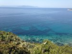 IMG_1194.jpg