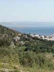 IMG_1199.jpg