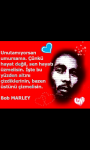 Screenshot_2014-05-05-22-30-17.png