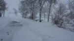 20150129_084933.jpg