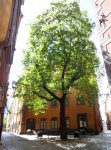 Stockholm 3.jpg