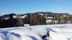20150306_164410.jpg