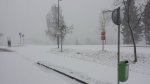 20150401_082707.jpg