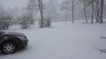 20150401_085655.jpg